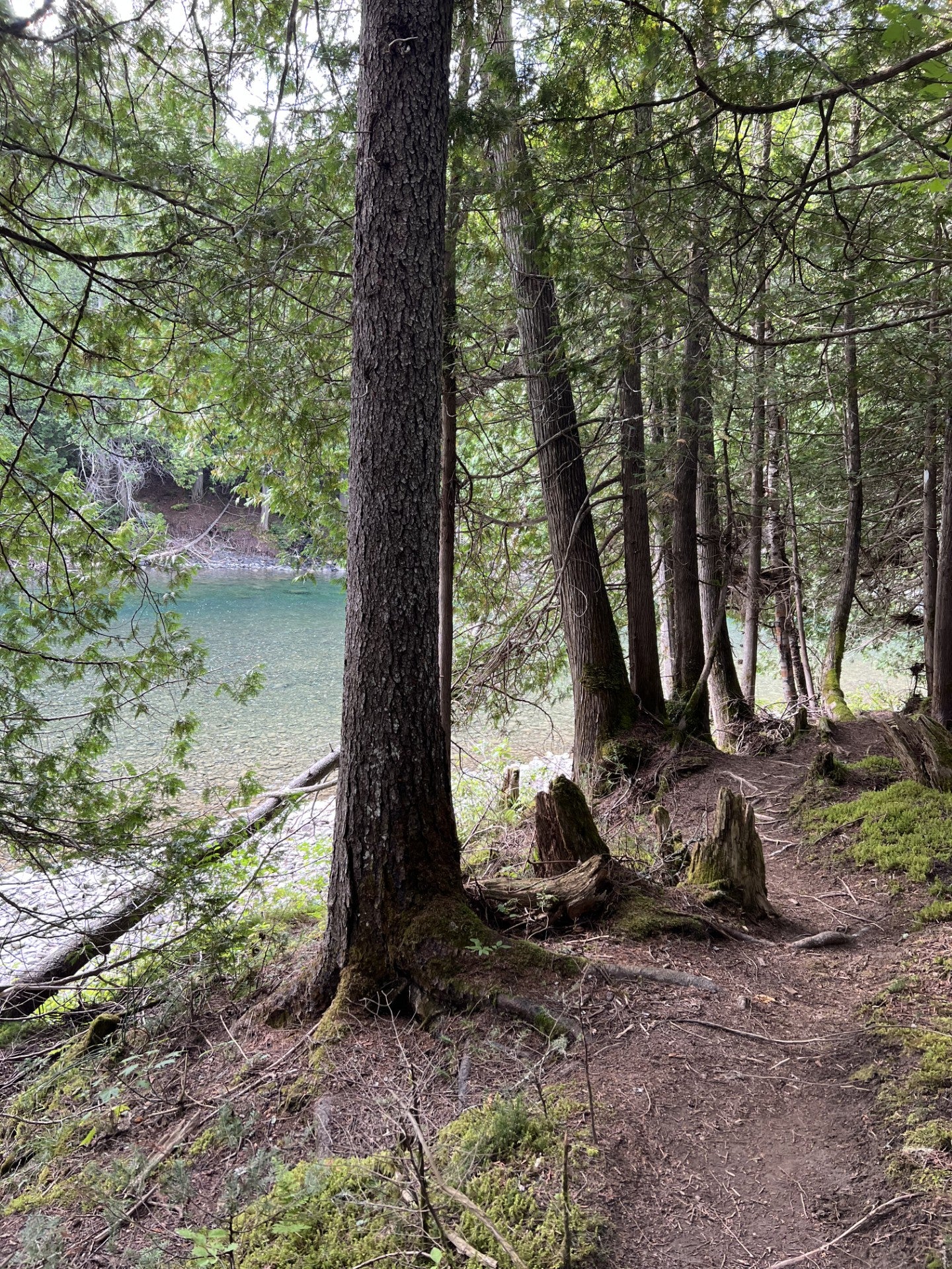 Introductory/Beginner Trips (One-Handed Fly Rod) Malbaie River &amp; Gouffre