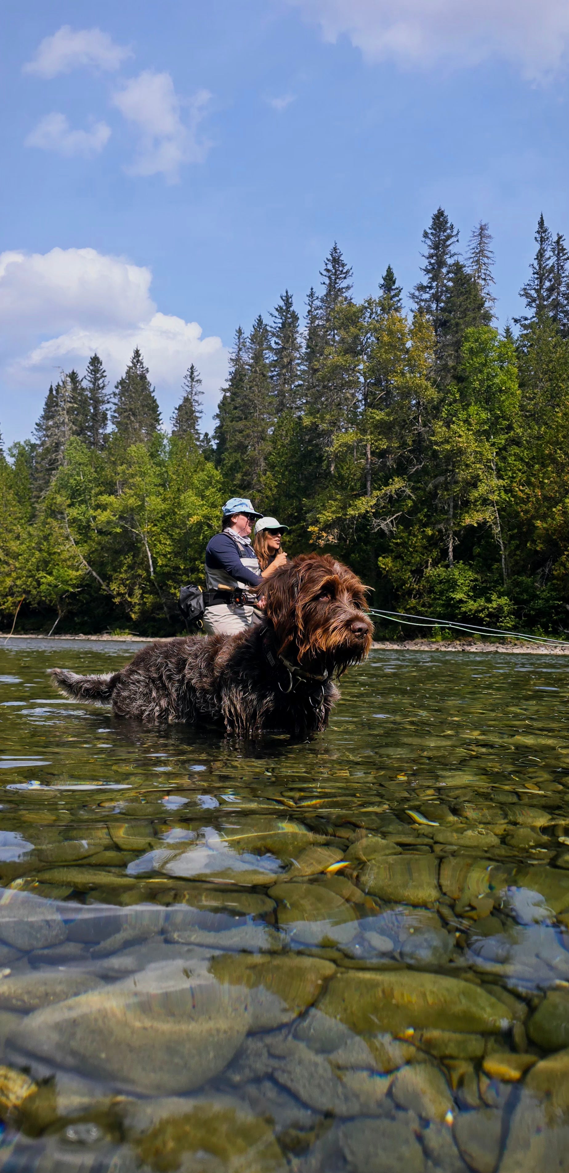 Introductory/Beginner Trips (One-Handed Fly Rod) Malbaie River &amp; Gouffre