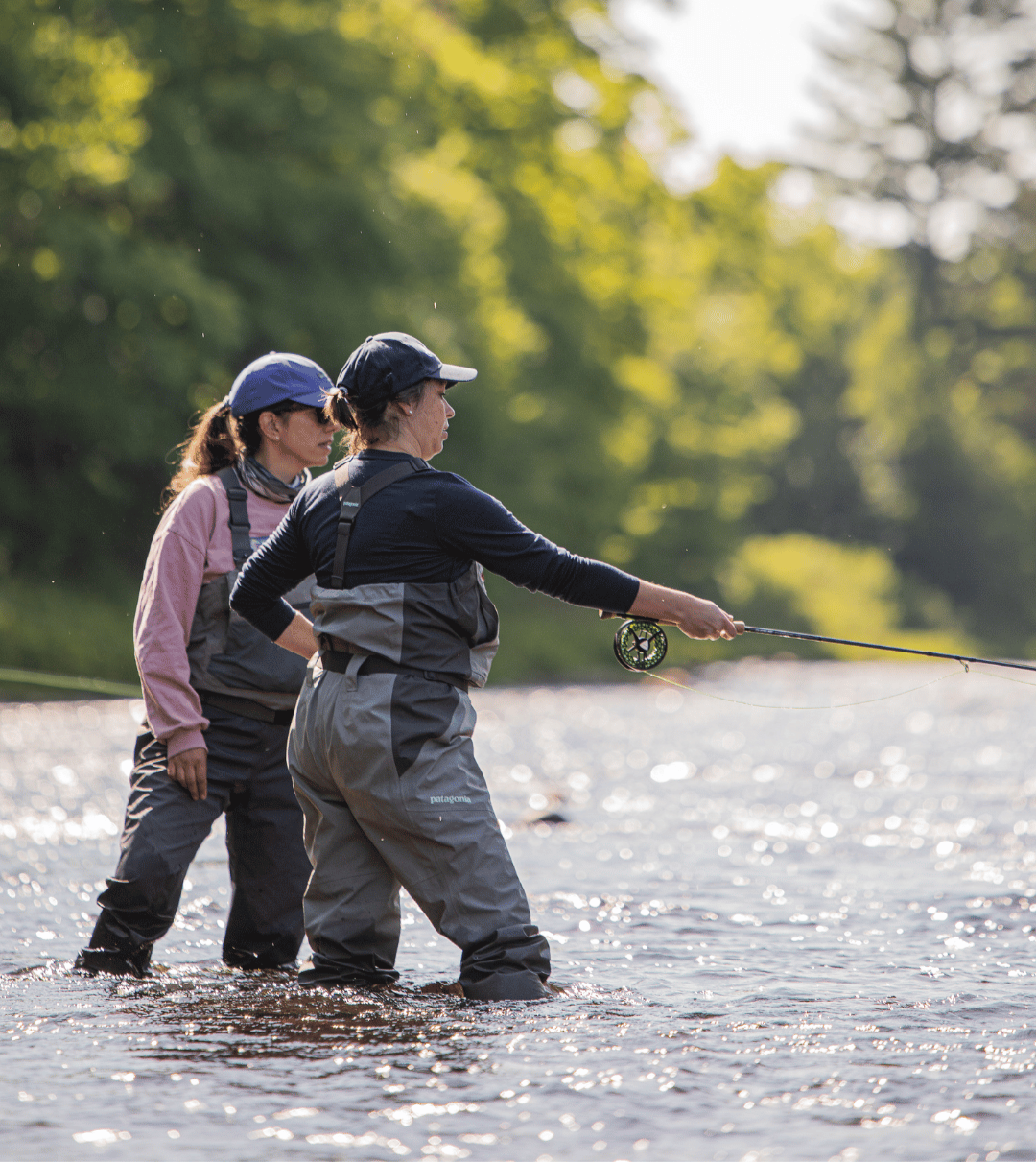 Séjour de perfectionnement à la truite de rivière