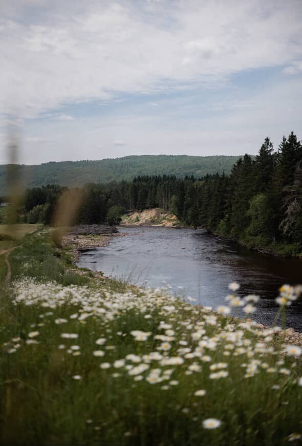 Séjours d'initiation / débutante (canne à mouche à une main) Rivière Malbaie & Gouffre