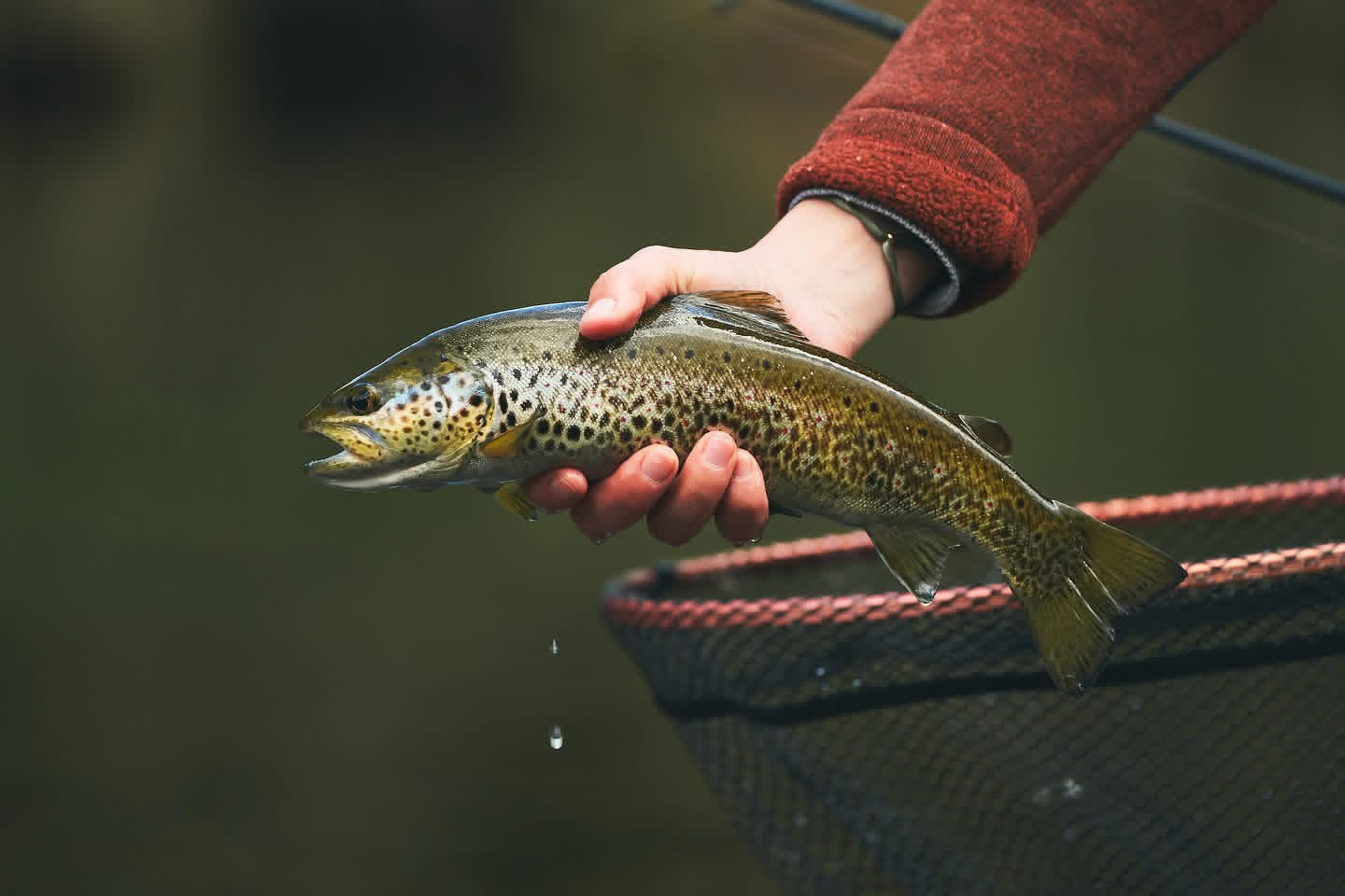 Introductory Day – St. Francis River, Eastern Townships (Sherbrooke)